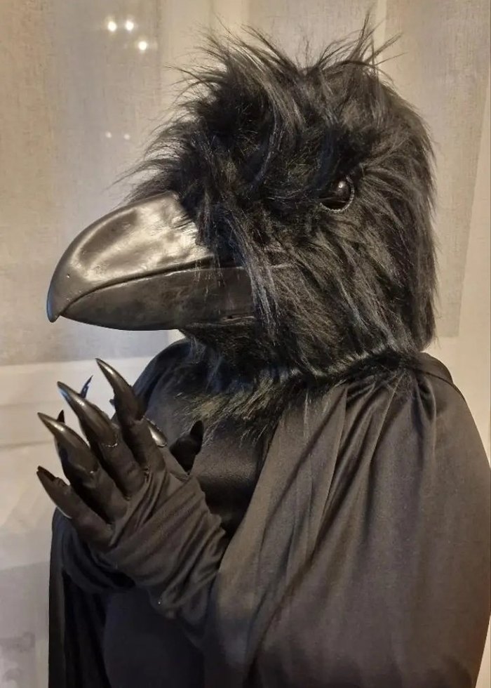 Siyah karga Maskesi - Görsel 2