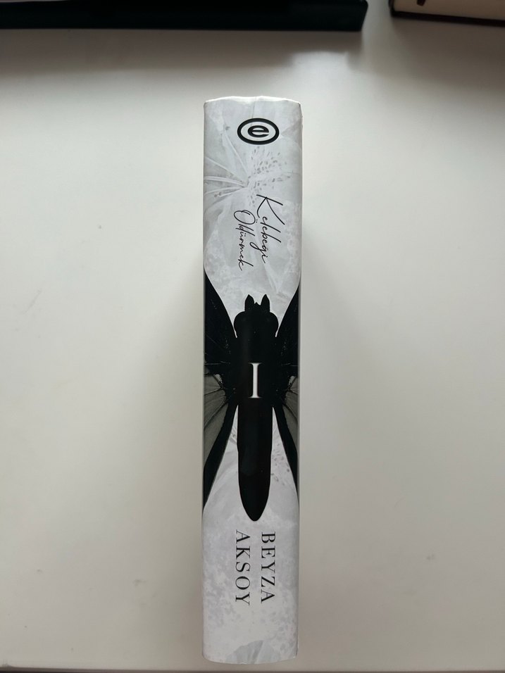 Kelebeği Öldürmek - Beyza Aksoy - Görsel 2