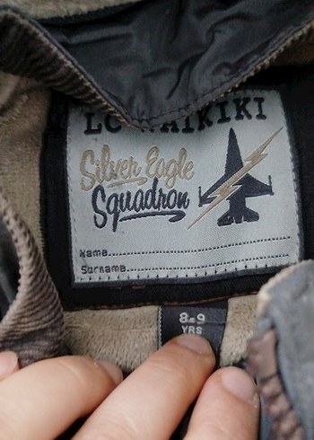 LC Waikiki Kapüşonlu Gri Fermuarlı Erkek Çocuk Ceketi