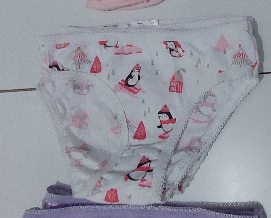 10 ADET 2-3 YAŞ KIZ ÇOCUK KÜLOT - Görsel 3