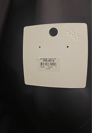 Yıldızlı gümüş renk küpe - Görsel 2