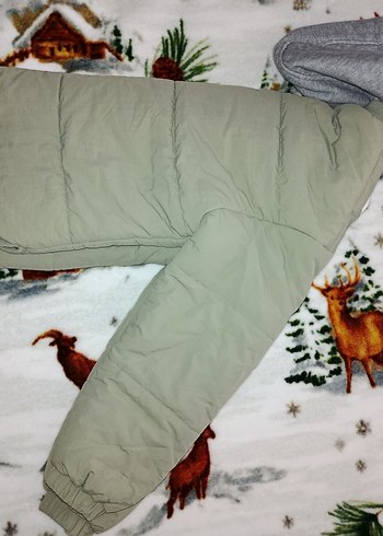 Gri Kapüşonlu Kadın Kışlık Mont - Görsel 3