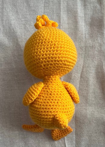 Ördek/ Civciv - Görsel 3