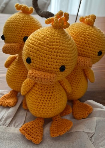 Ördek/ Civciv - Görsel 2