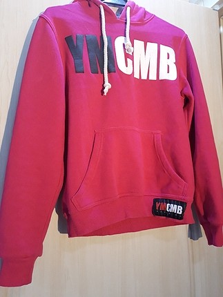 Pembe sicacik polar