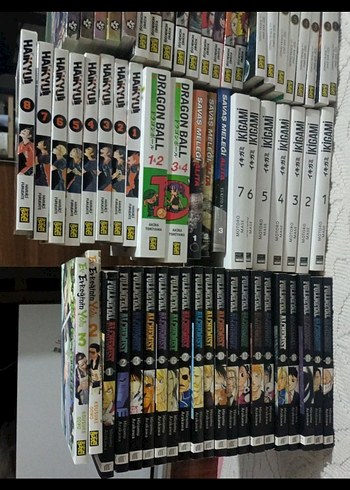 fma 12 ye kadar tg 10 12 13 gantz