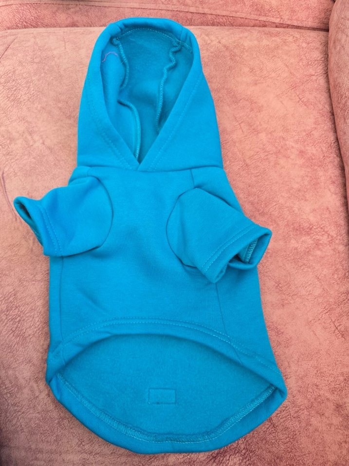 Mavi Kapüşonlu Sokak Stili Köpek Kıyafeti - Görsel 2