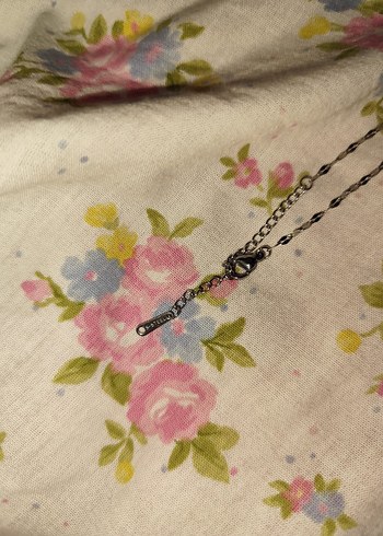 Pandora kalpli çelik kolye - Görsel 3