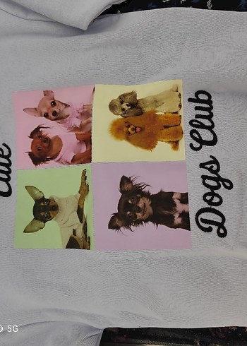 6 Yaş Beden Gri Desenli Sokak Stili Köpek Kıyafeti