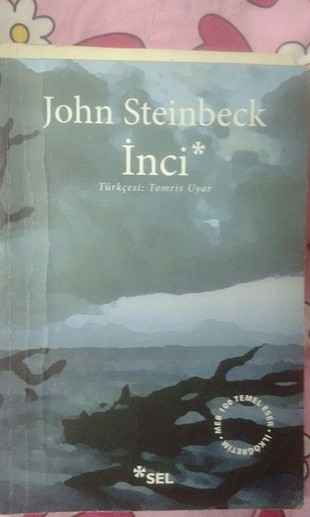 john steinbeck inci
