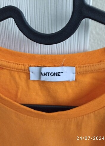 LC Waikiki Pantone Crop tişört 
