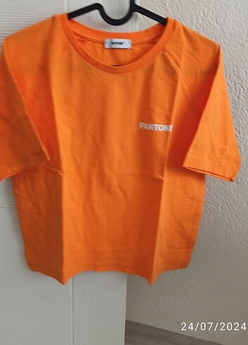 Pantone Crop tişört 