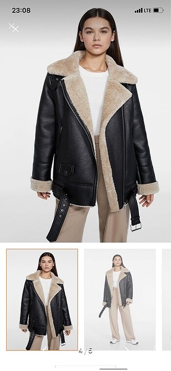 Stradivarius Mont