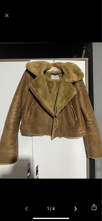 Stradivarius Mont