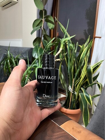 Dior sauvage