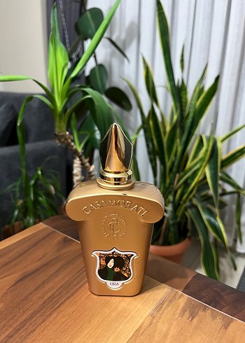 Xerjoff Casamorati Lira orjinal - Görsel 2