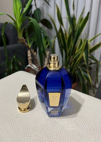 Xerjoff than more words orjinal - Görsel 4