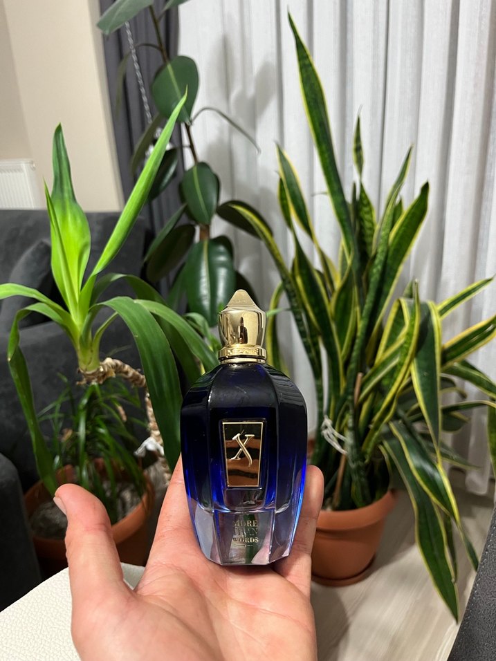 Xerjoff than more words orjinal - Görsel 3