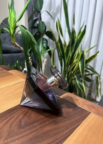 La nuit tresor orjinal - Görsel 3