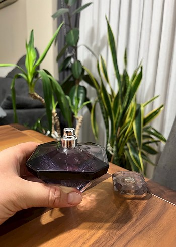 La nuit tresor orjinal - Görsel 4