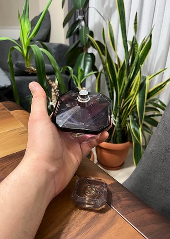 La nuit tresor orjinal - Görsel 5