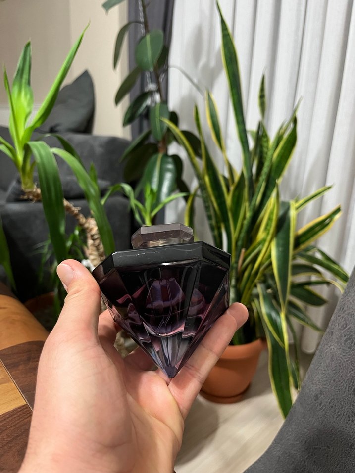 La nuit tresor orjinal - Görsel 2