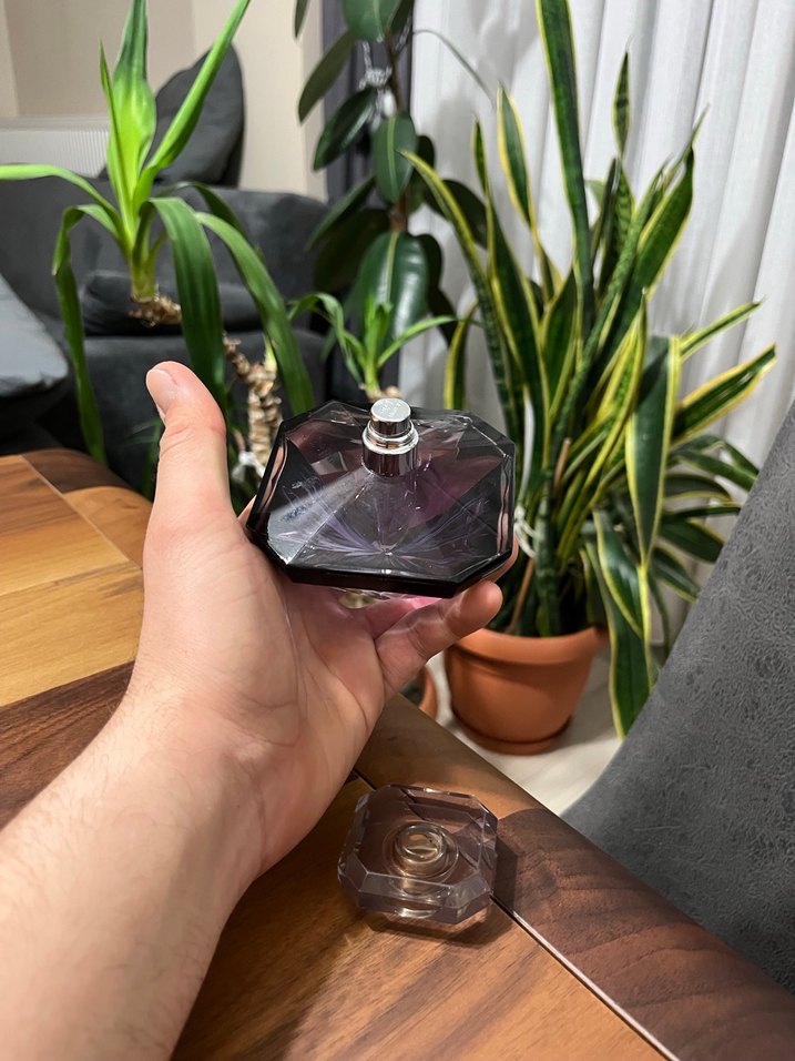 La nuit tresor orjinal - Görsel 5