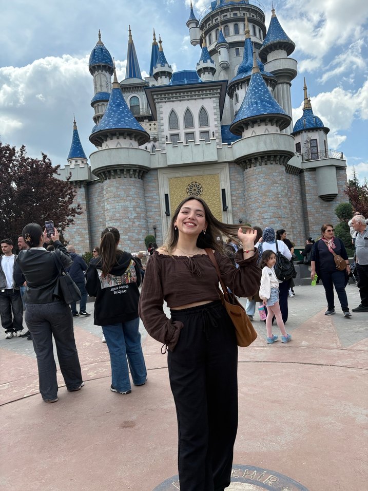 Kahverengi bluz - Görsel 2