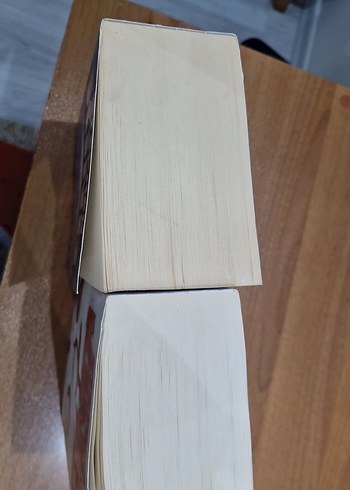 Stephen King - Mahşer Roman Seti