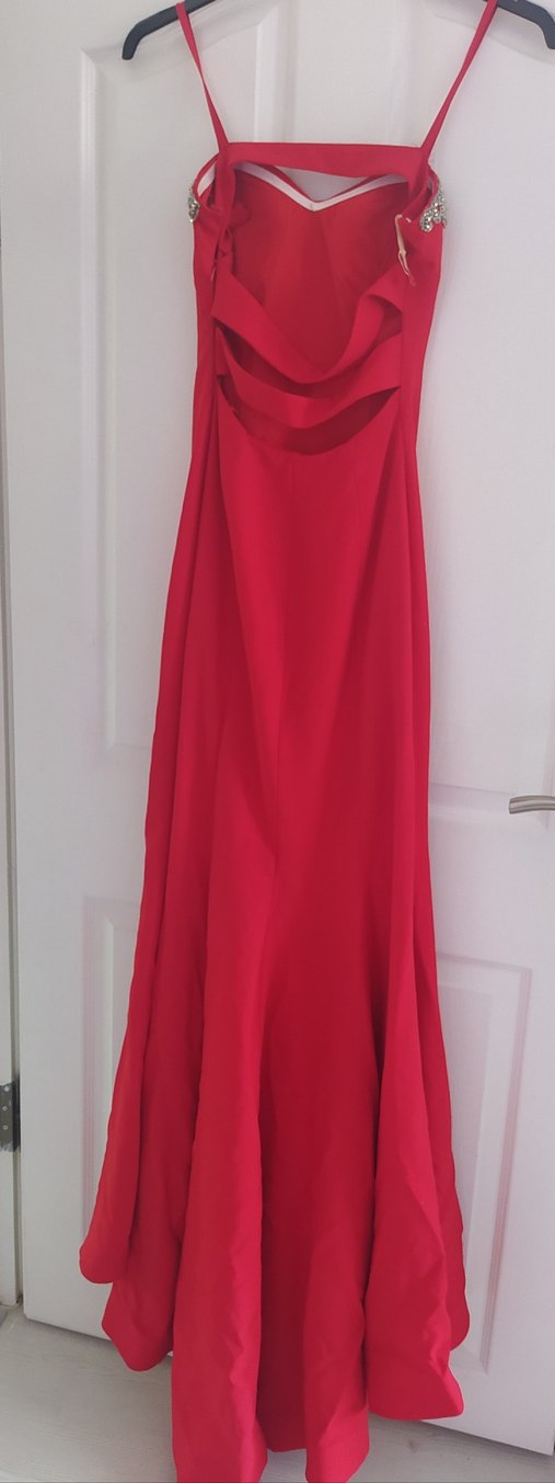 Kırmızı Kuyruklu Balık Abiye Elbise - Görsel 2