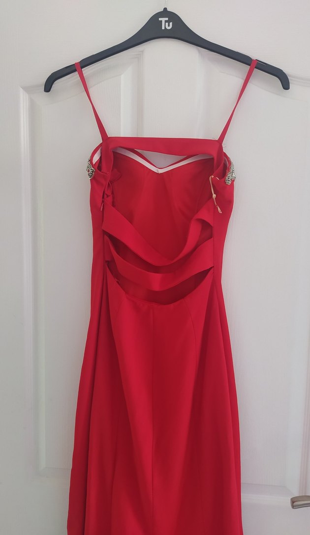 Kırmızı Kuyruklu Balık Abiye Elbise - Görsel 3