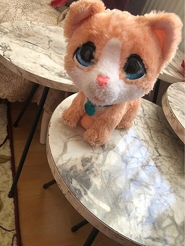 Fur real konuşan kedi