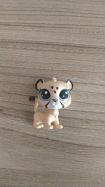 LPS Minişler LPS Çita Miniş