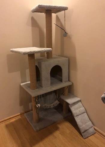 Kedi evi - Görsel 2