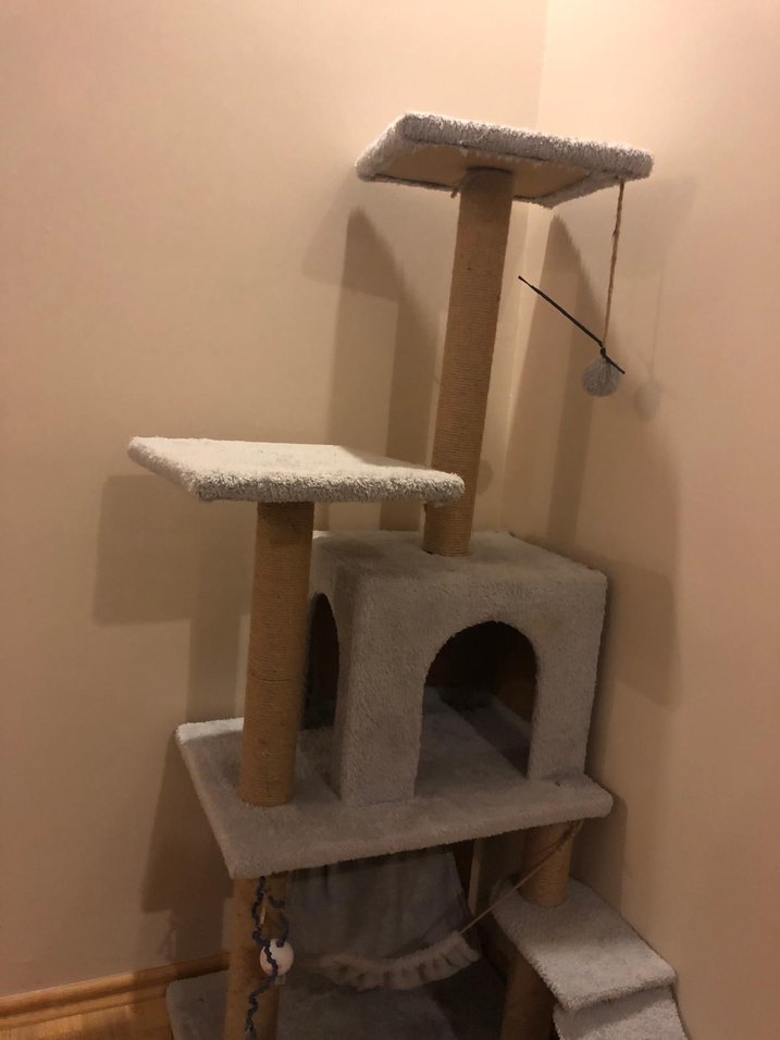 Kedi evi - Görsel 3