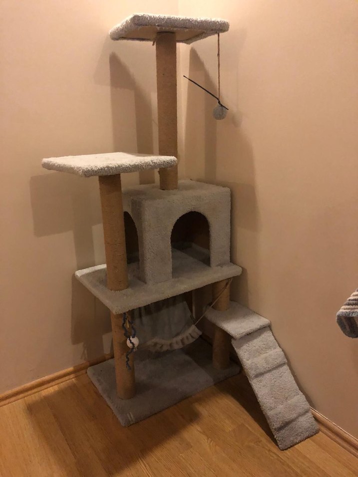 Kedi evi - Görsel 2