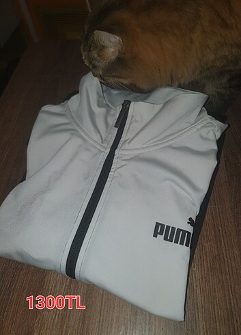 PUMA orijinal