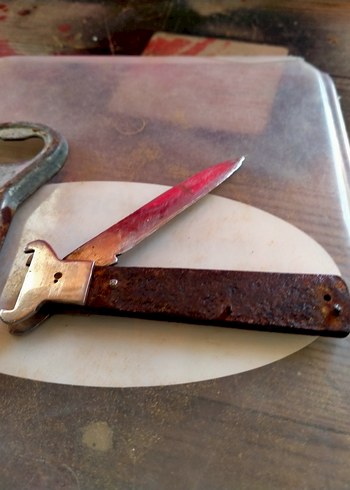 Bej Saplı Parlak Bıçak - Görsel 4