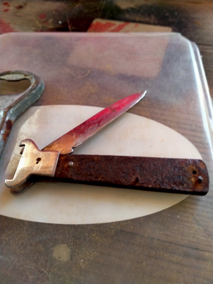 Bej Saplı Parlak Bıçak - Görsel 4