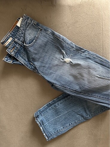 Levis Levis kot