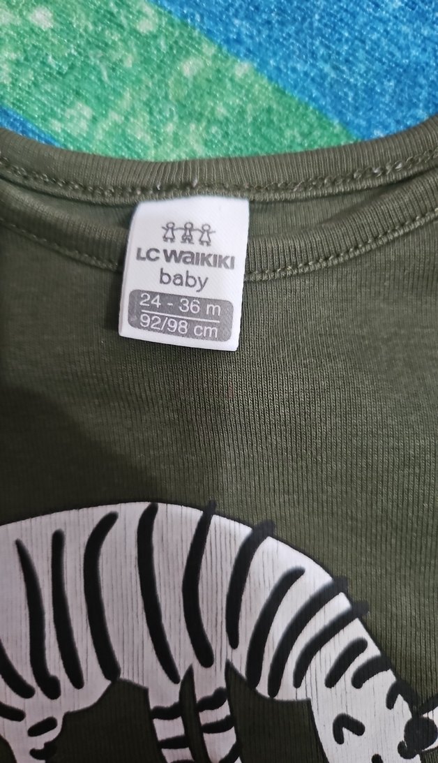 Zebra Desenli Yeşil Bebek Body - Görsel 2