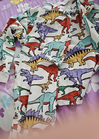 Renkli Dinozor Baskılı Erkek Çocuk Pijama Takımı - Görsel 2