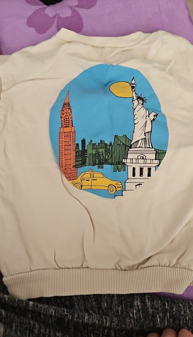 Kapüşonlu Erkek Çocuk Sweatshirt NEWYORK Baskılı - Görsel 4