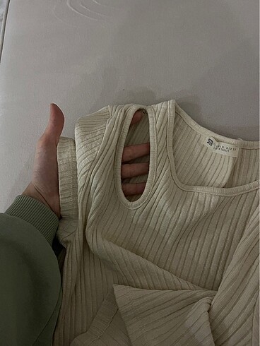 Stradivarius stradivarius crop