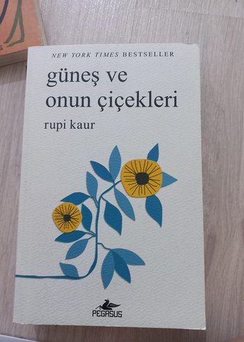Rupi Kaur - Şiir seti kutulu - Görsel 4