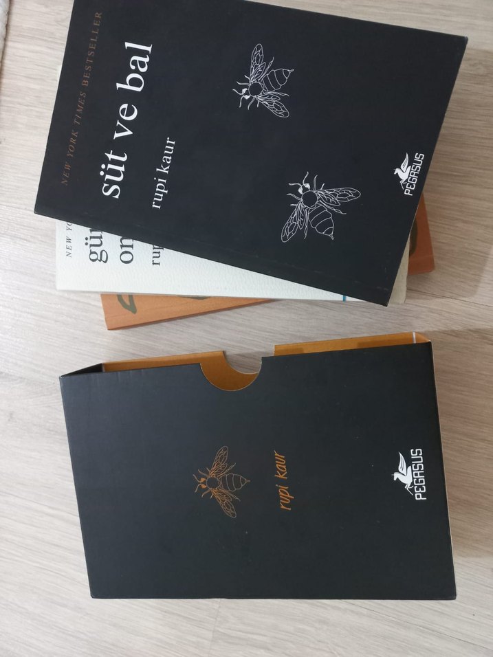 Rupi Kaur - Şiir seti kutulu - Görsel 2