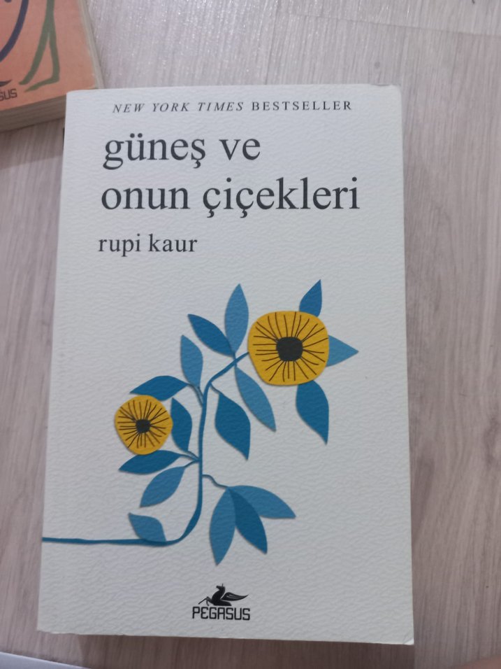 Rupi Kaur - Şiir seti kutulu - Görsel 4