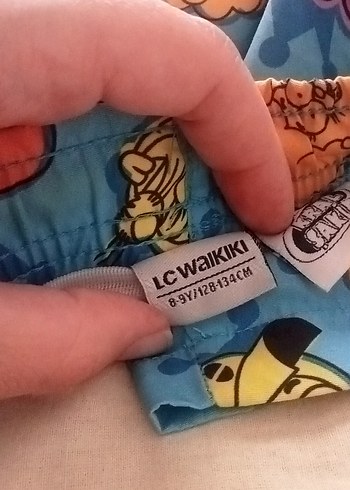 LC Waikiki Renkli Bağlama Desenli Erkek Şort