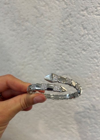 Bvlgari Sikligin Simgesi Celik Yilan Kordonlu Bileklik