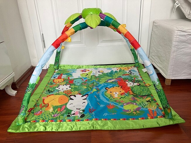 Fisher Price Play Arch